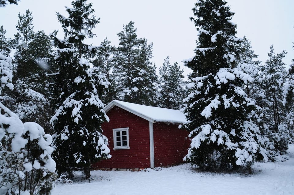 From east in winter 308C