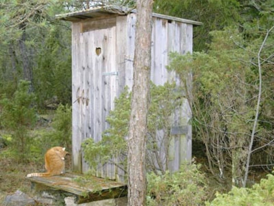 toilet