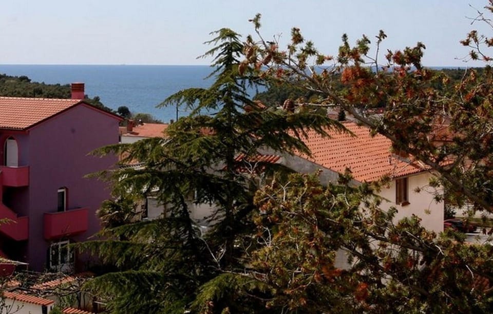 view-from-room
