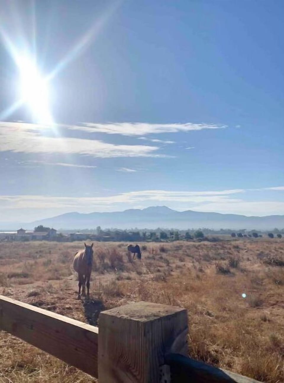 View from property