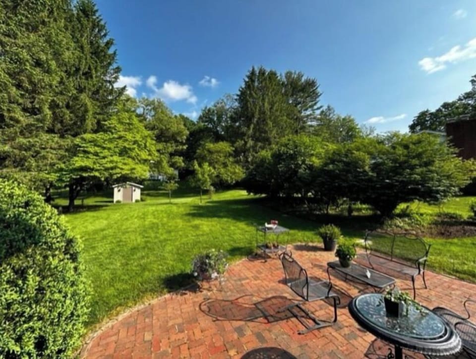 Large backyard
