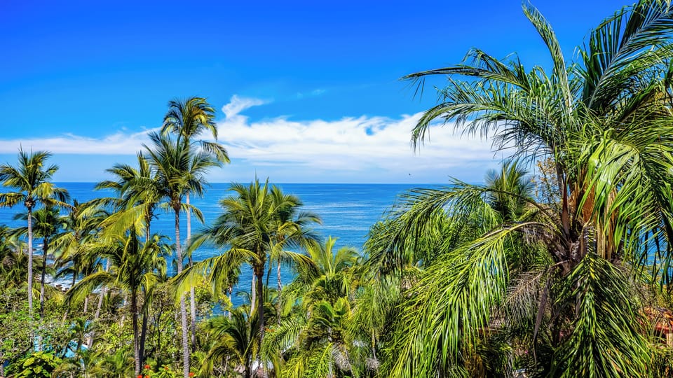 Ocean Views