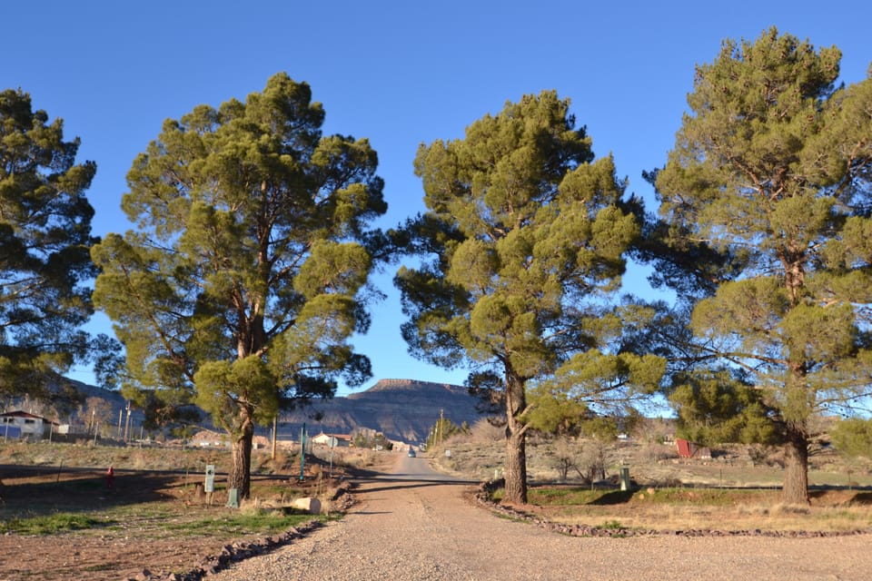 Looking out at the main road.