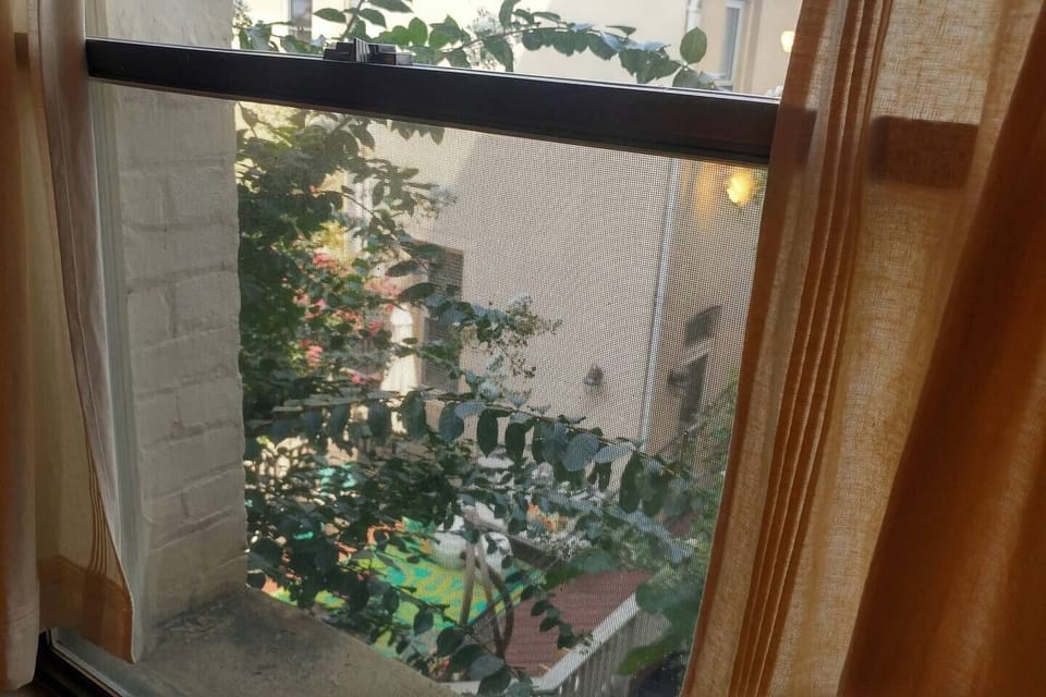 View from bedroom window.  Apartment has great light