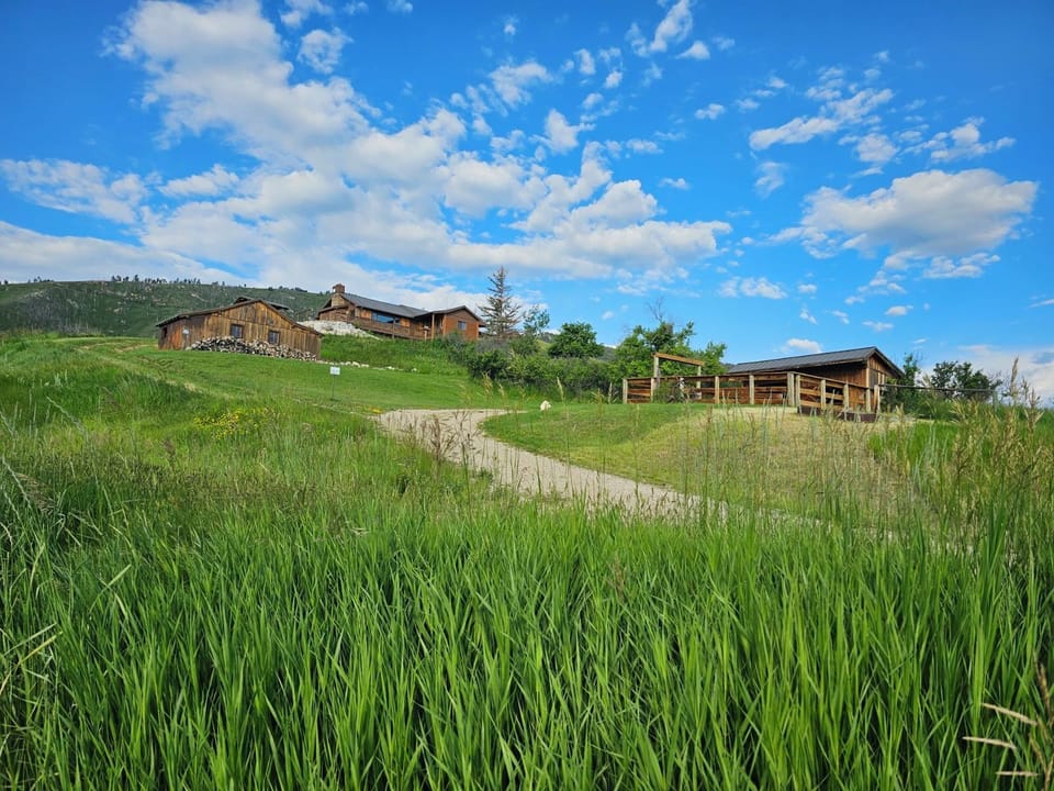 Uphill view of the Double Eight property.