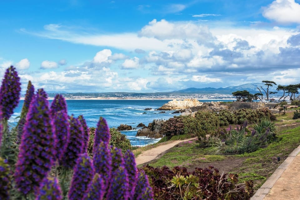Pacific Grove / Recreation Trail