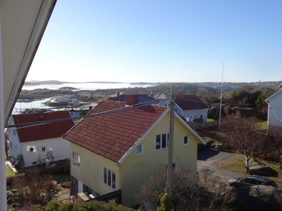 View from window in kitchen/livingroom