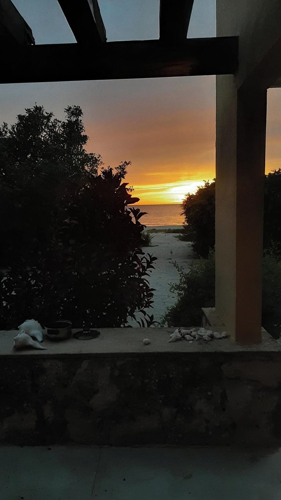 View from property