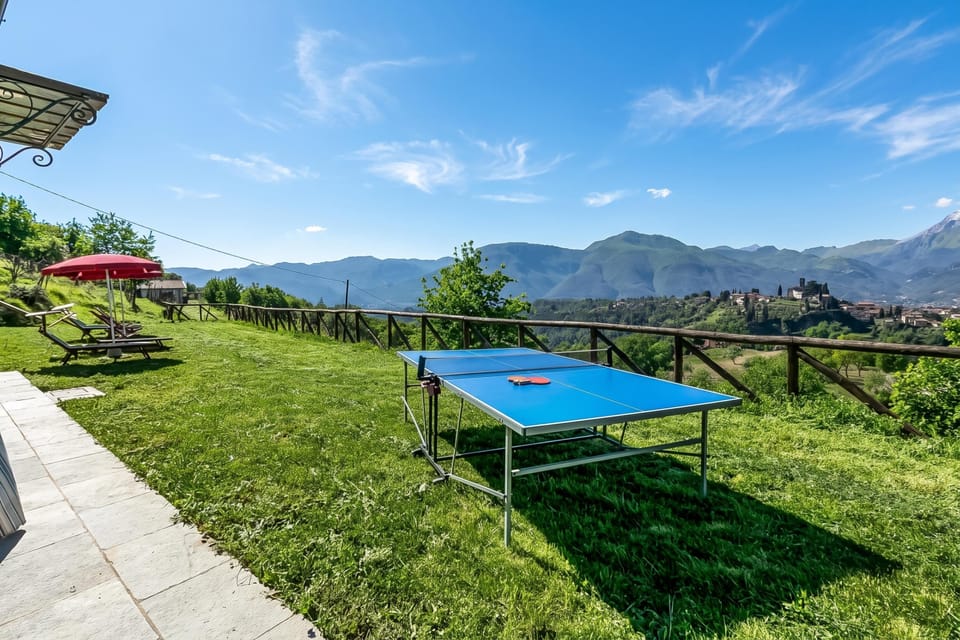 Table Tennis
