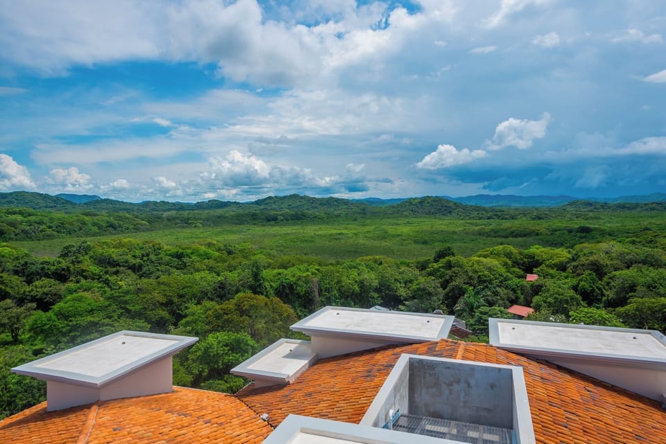 Rooftop area