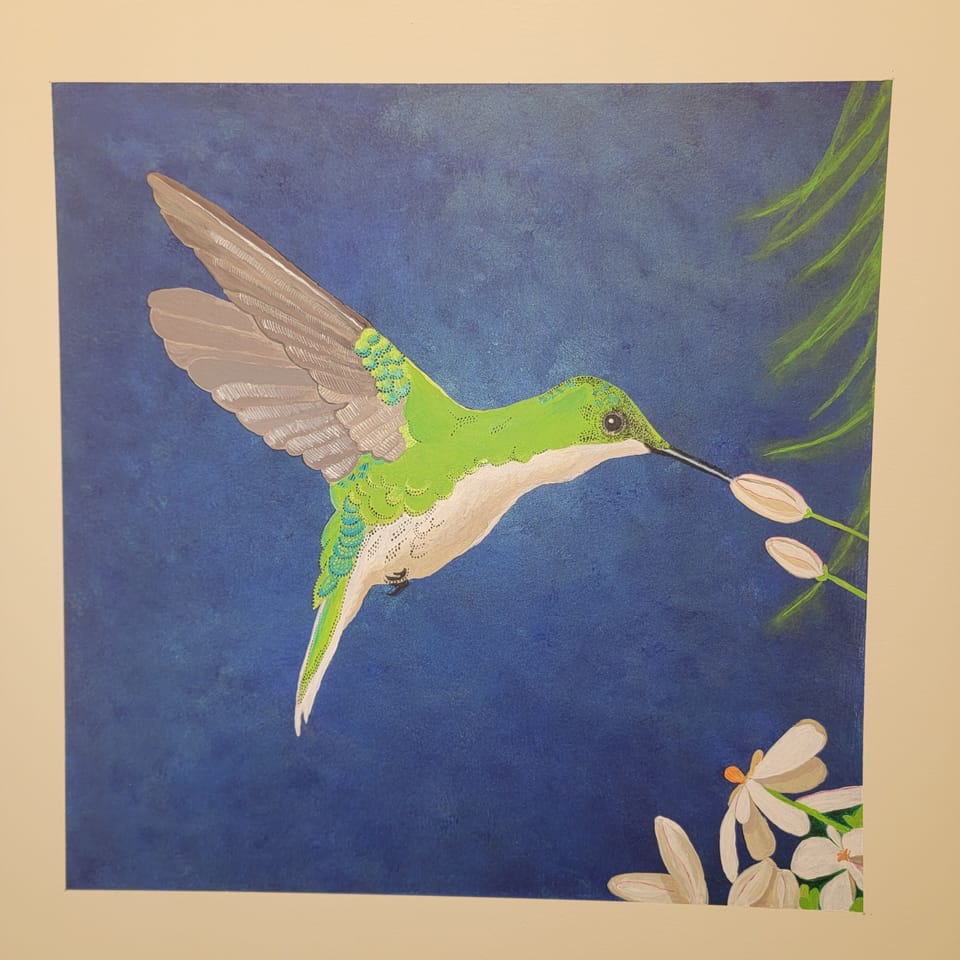 Humming Bird Room