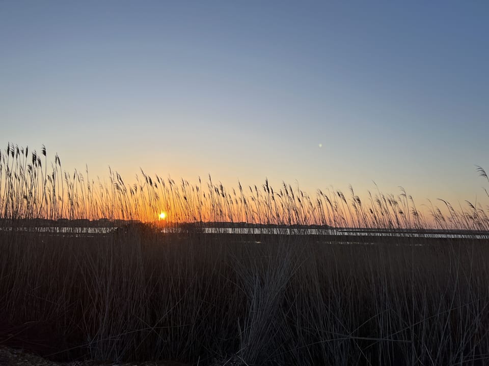 Beautiful sunsets and sunrises over the bay, just a block away!