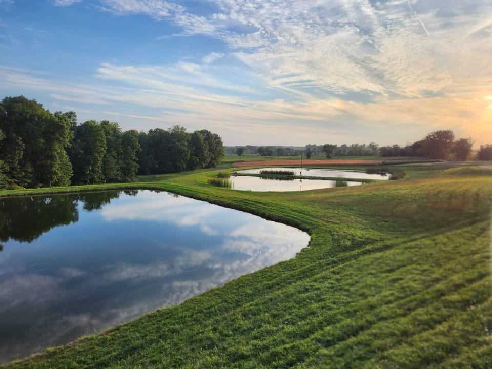 A few more of our ponds