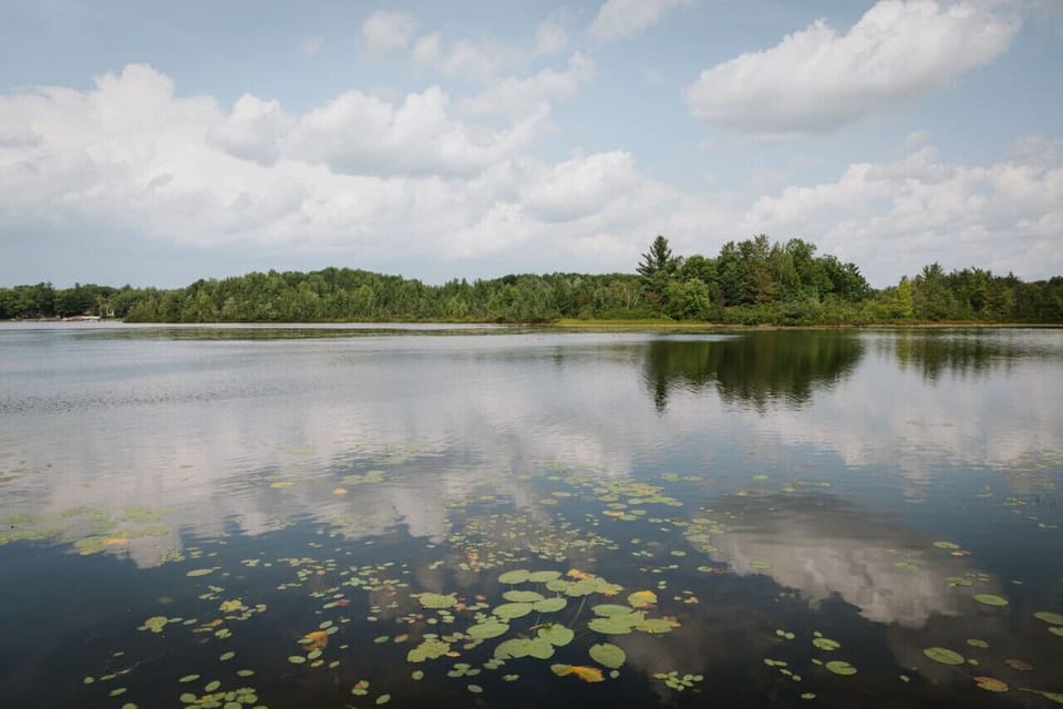 Enjoy this lake view from our pontoon!