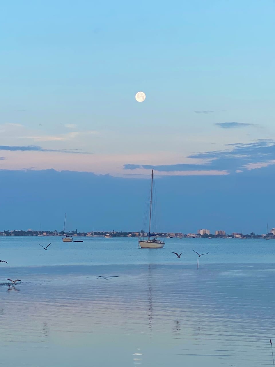 Boca Ciega bay.  2-3 minute walk from your front door.  