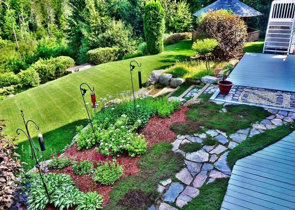 Front yard