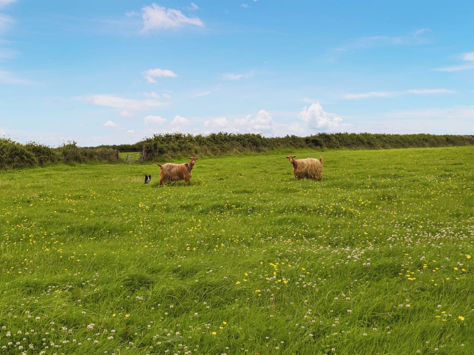 Surrounding area | Carnau Mawr - Brynawelon Farm, Meidrim, near Carmarthen