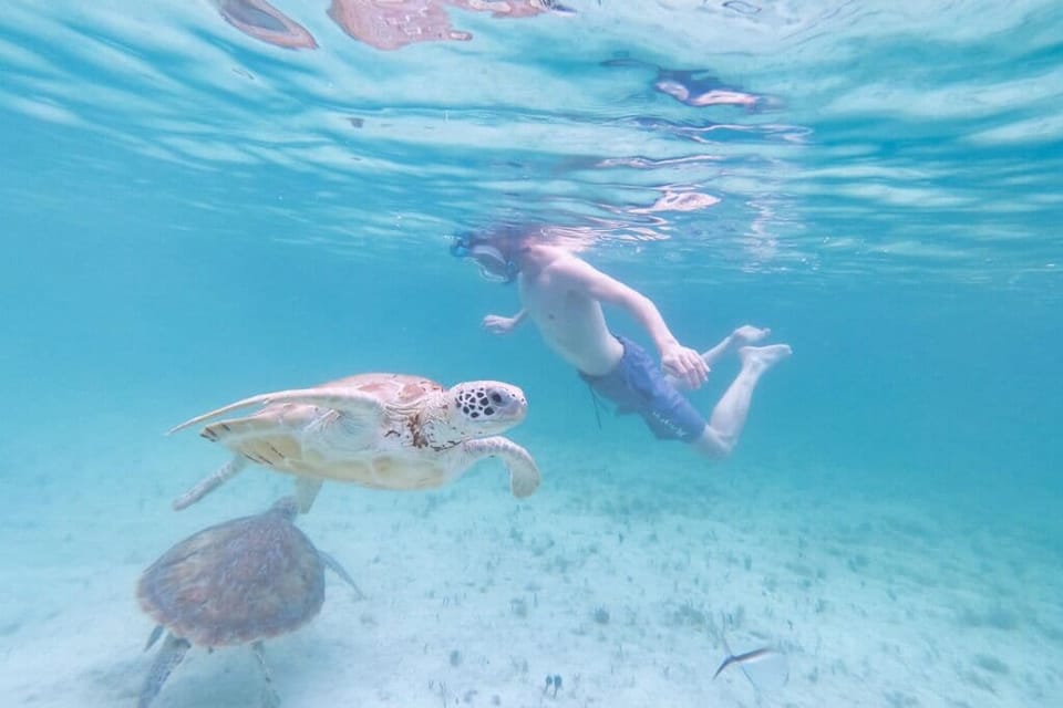 Snorkel around the point at Twin Cove Beach.