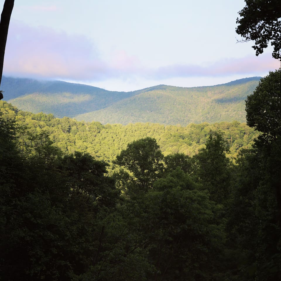 View from decks.