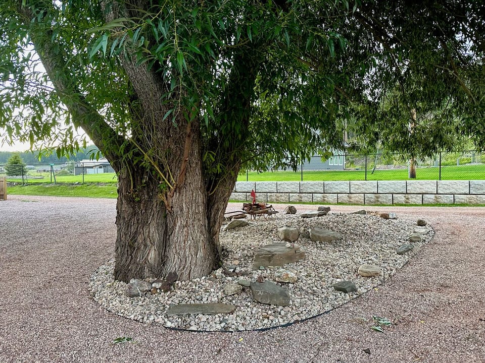 The berm holds a collection of pretty rocks and formed a circle drive as well.