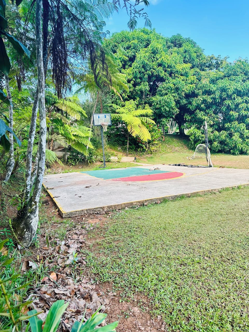 basketball court