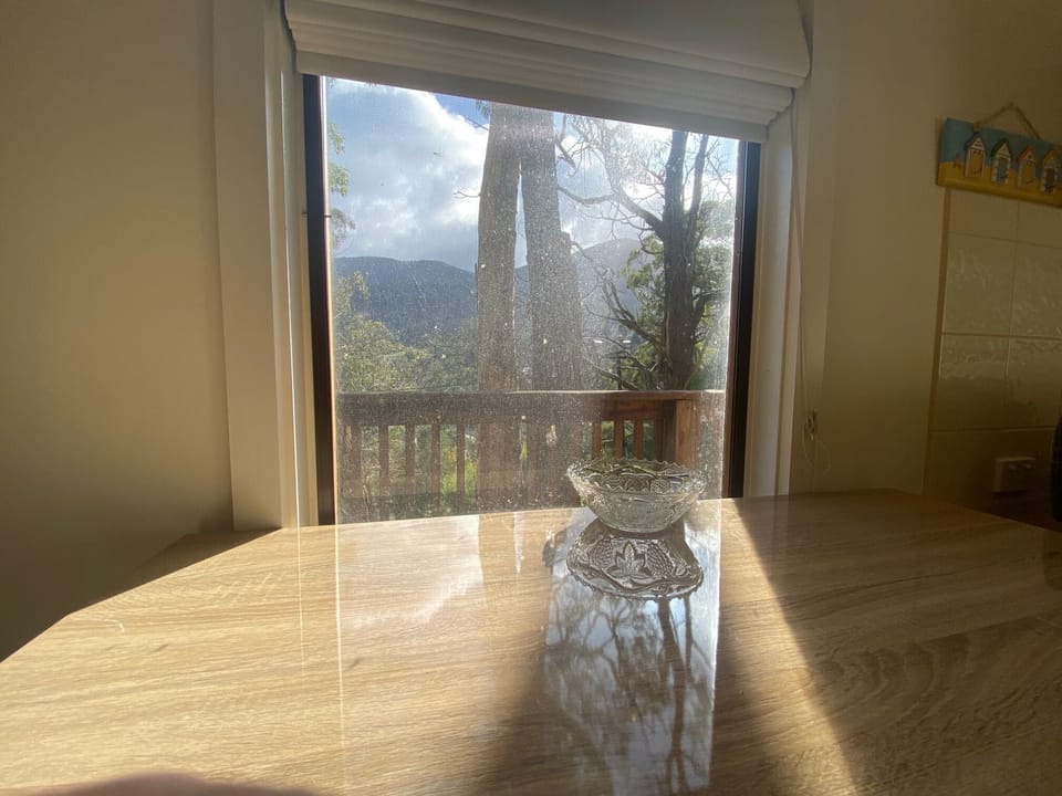 Views from the dining area window