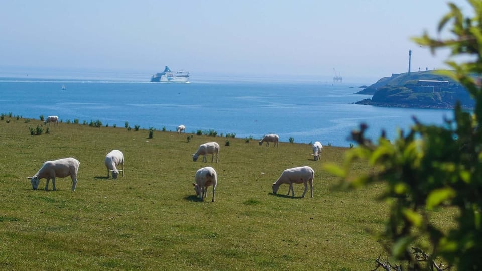 Haven View - 1 Bed Shepherds Hut - St Ishmael's (21941)