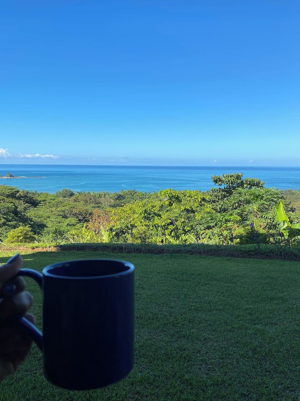 Morning coffee on the back porch