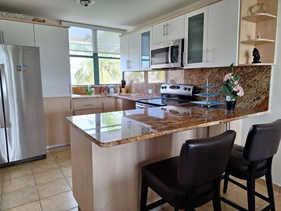 Kitchen in daylight: big fridge, all stainless steel appliances, 2 water filters