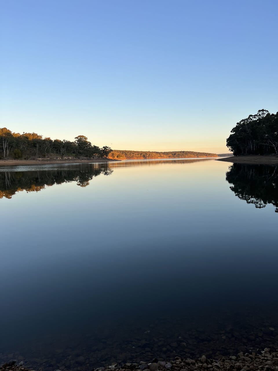 Ryans cove