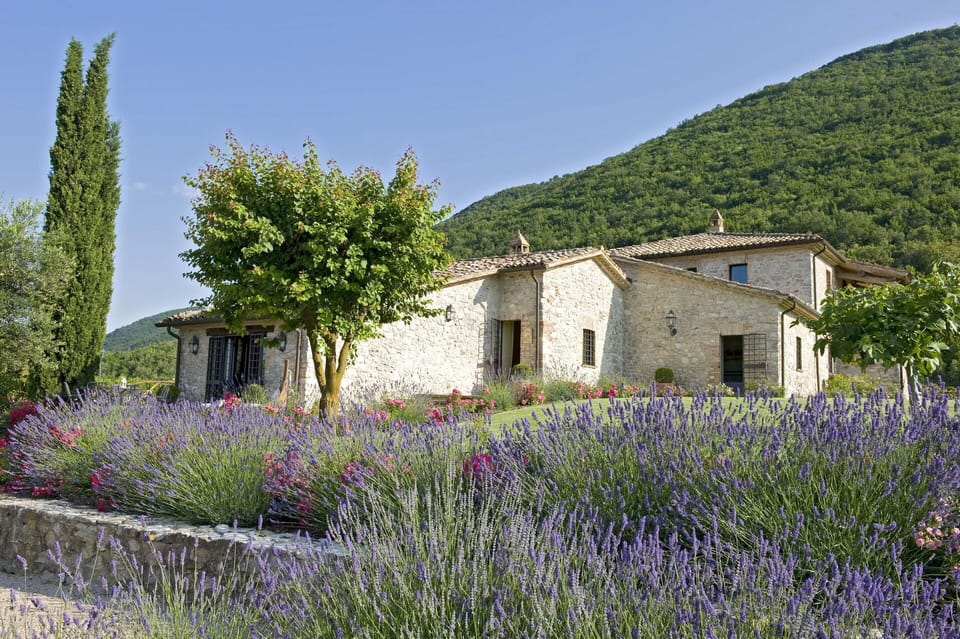 Activities, Amenities, Balcony / Terrace / Patio, Building Exterior, Facilities, Garden, Pool, Spring, Summer