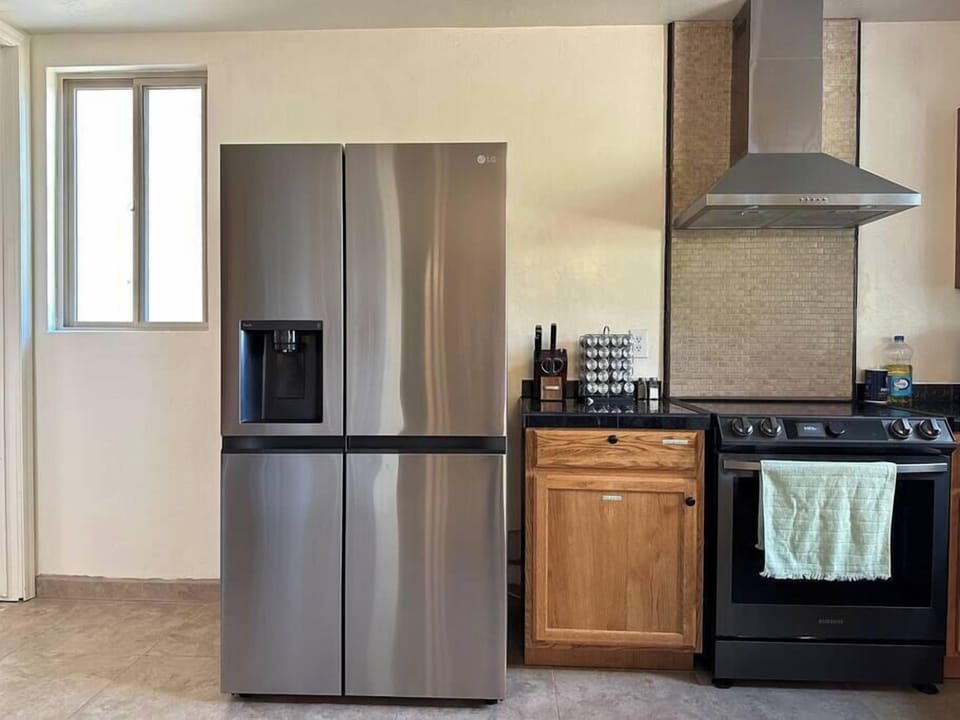 Stainless Steal Refrigerator and Induction Stove.