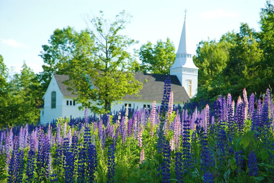 
St. Matthew's in June (Across Street from property)
