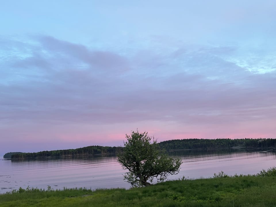 Gorgeous sunsets