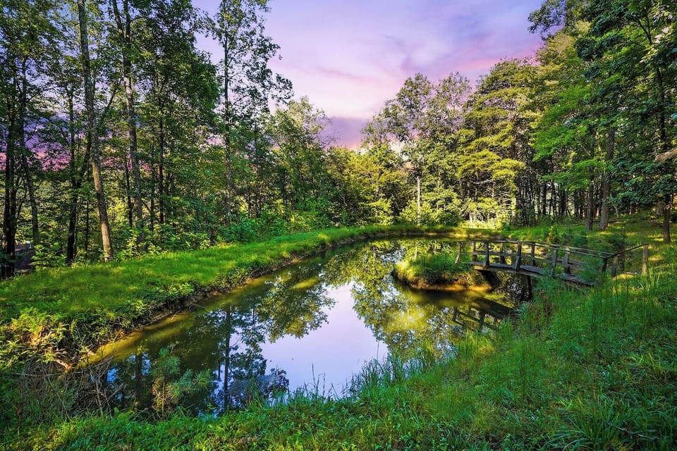 Explore the Property & Find Our Pond!