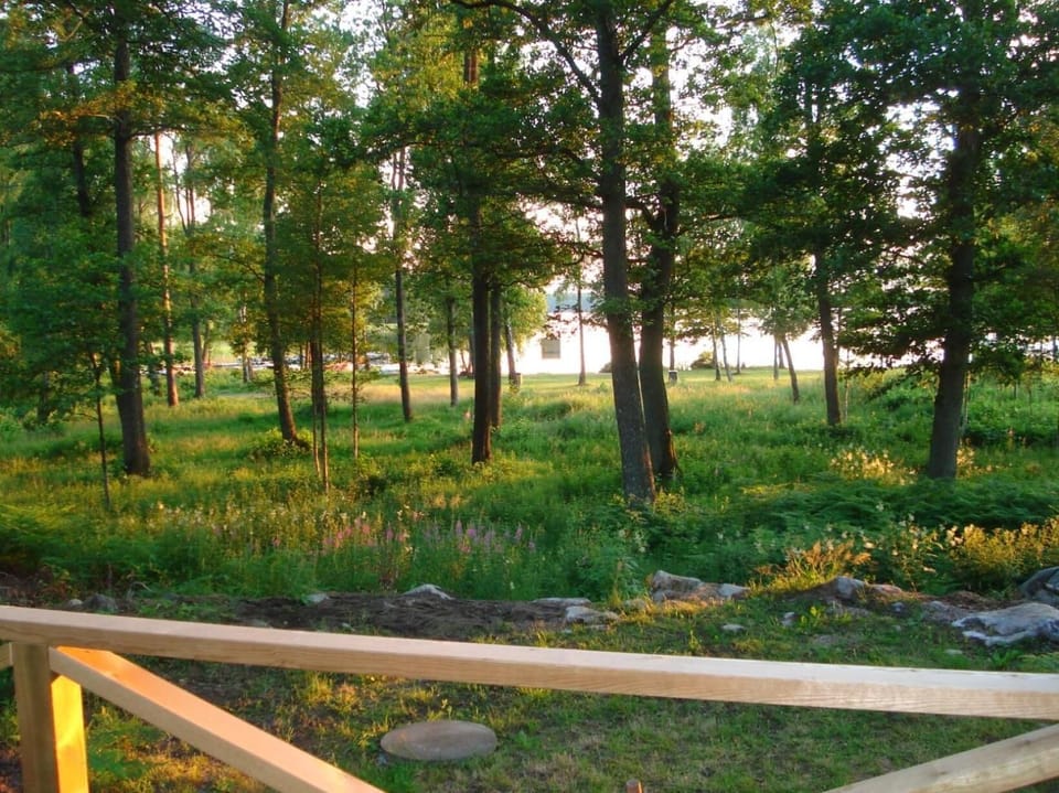 towards the lake