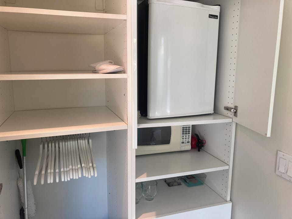 mini fridge and closet space