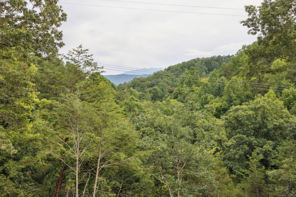 Mountain Views
