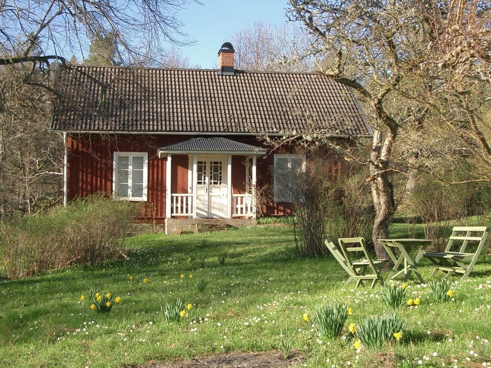 Early spring  front of the house.