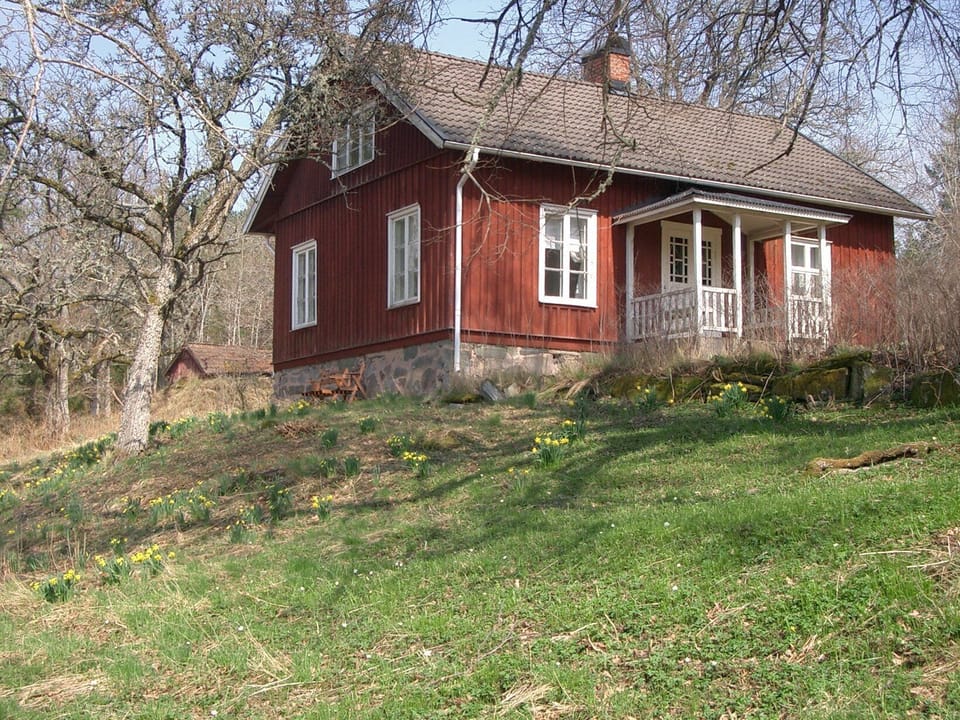 Front  of house spring
