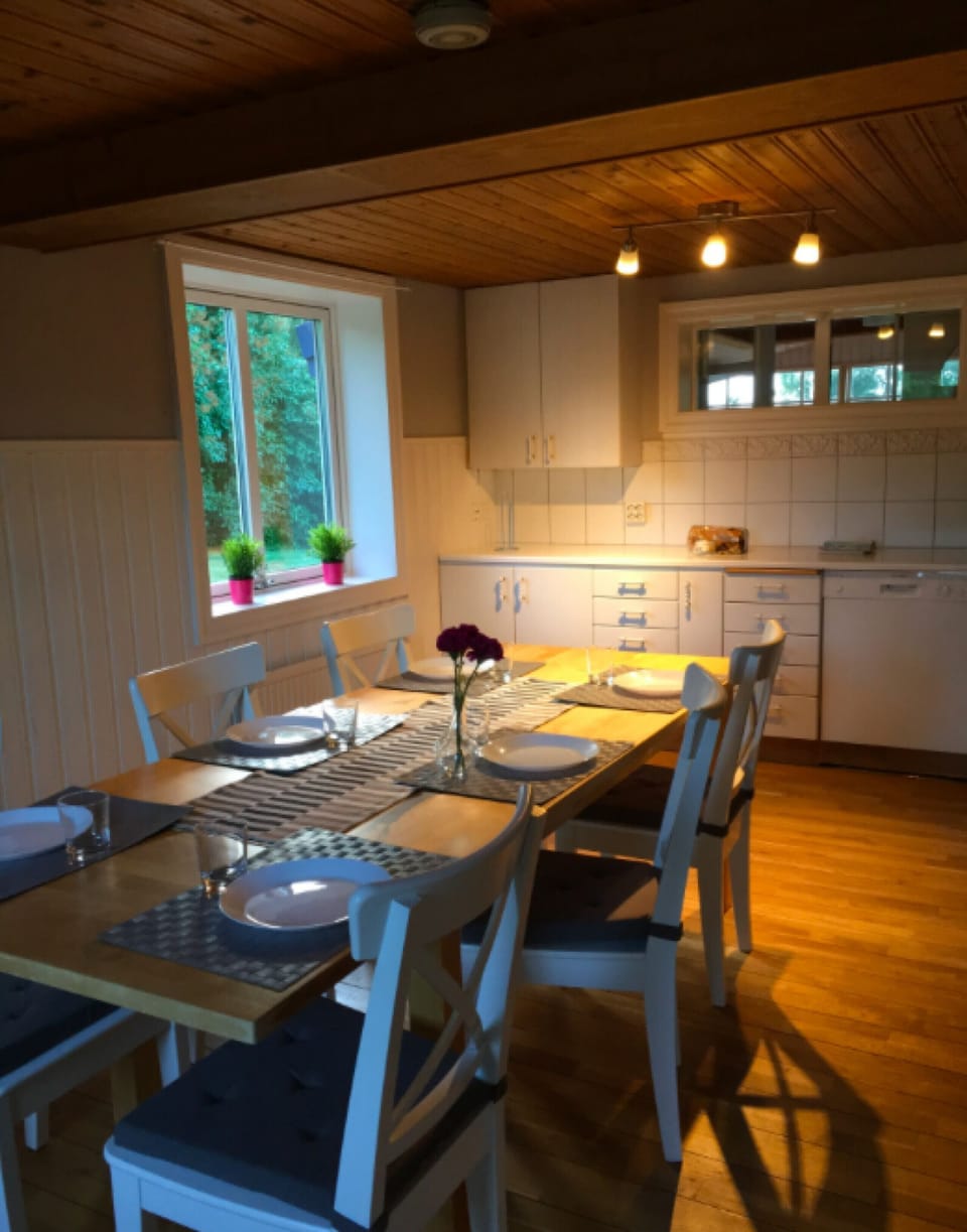 Modern kitchen