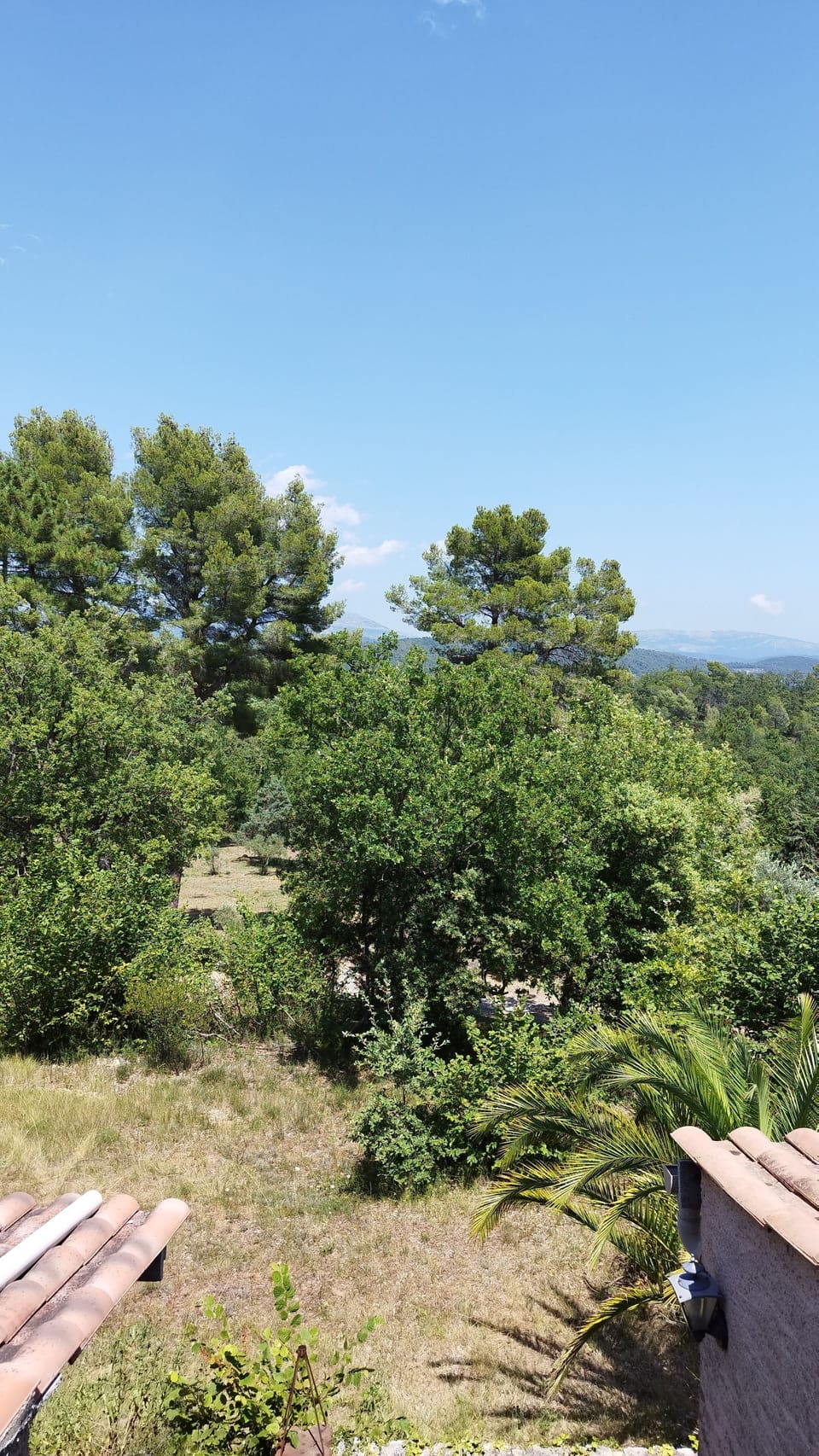View from property