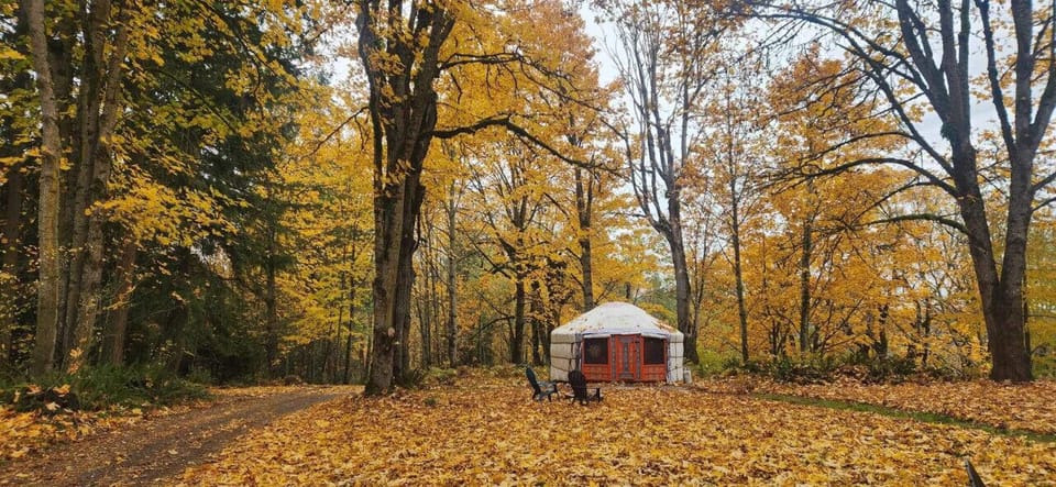 Outside of yurt on beautiful autumn day. Each yurt has own fire pit.