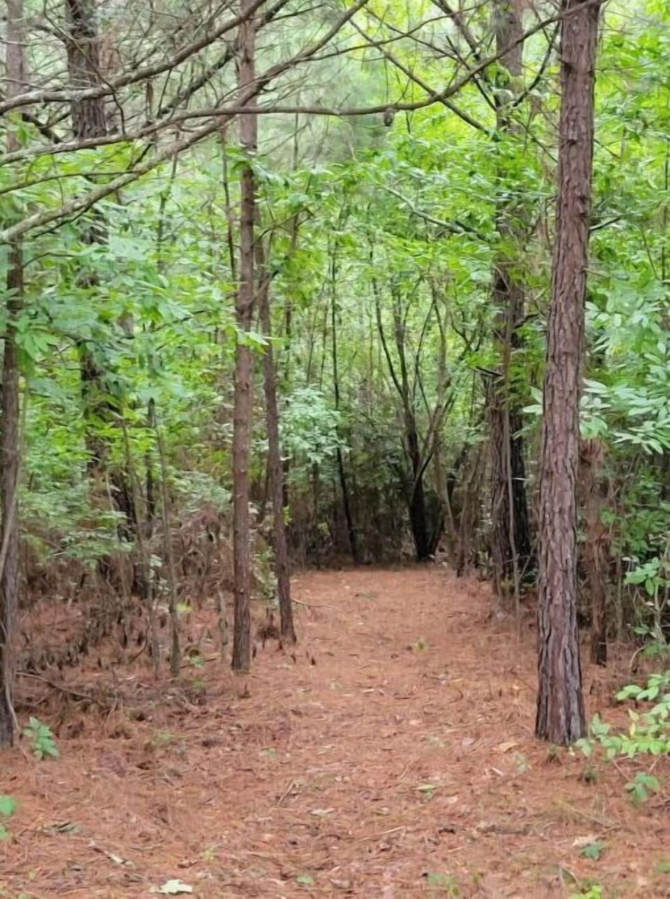 Two nature trails on property.