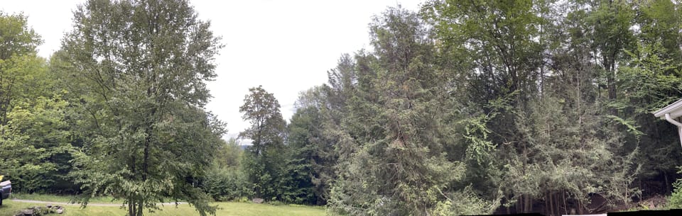 Panoramic view 