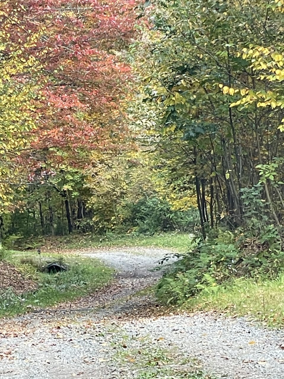 Road