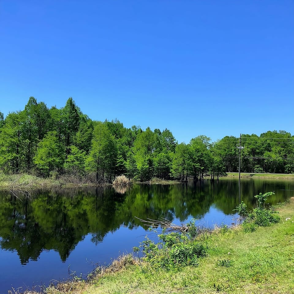 Sheldon Lake State Park