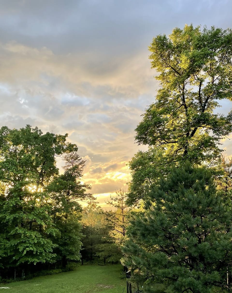 Breathtaking sunset view framed by lush greenery—nature's perfect retreat.