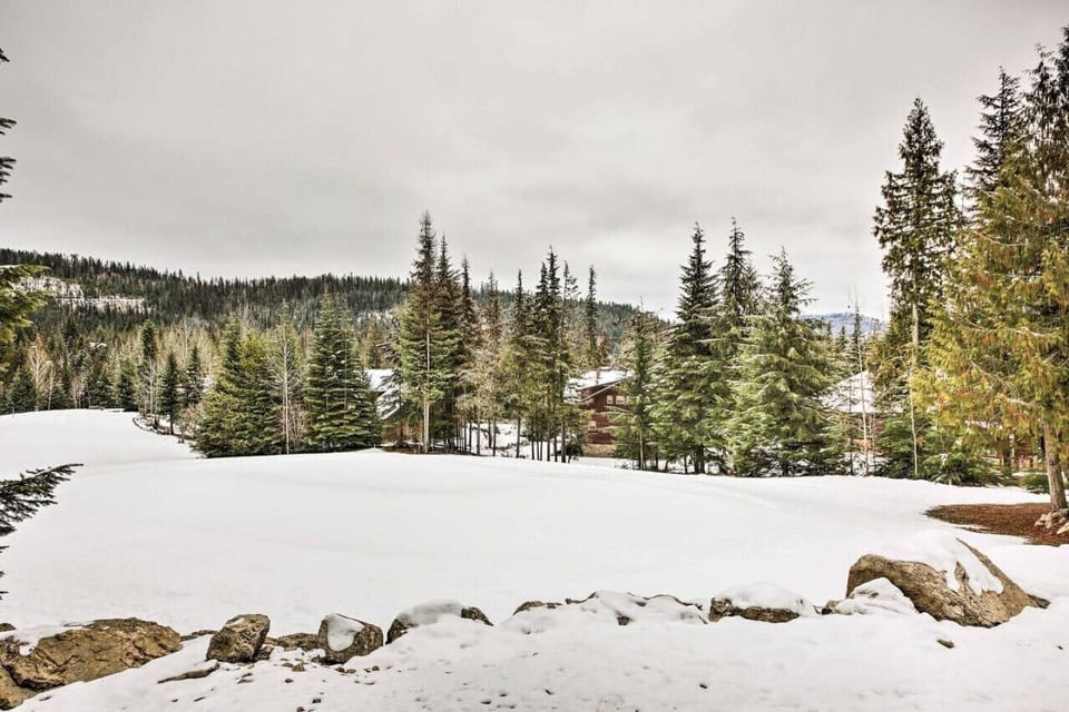 Golf Course winter view from backyard