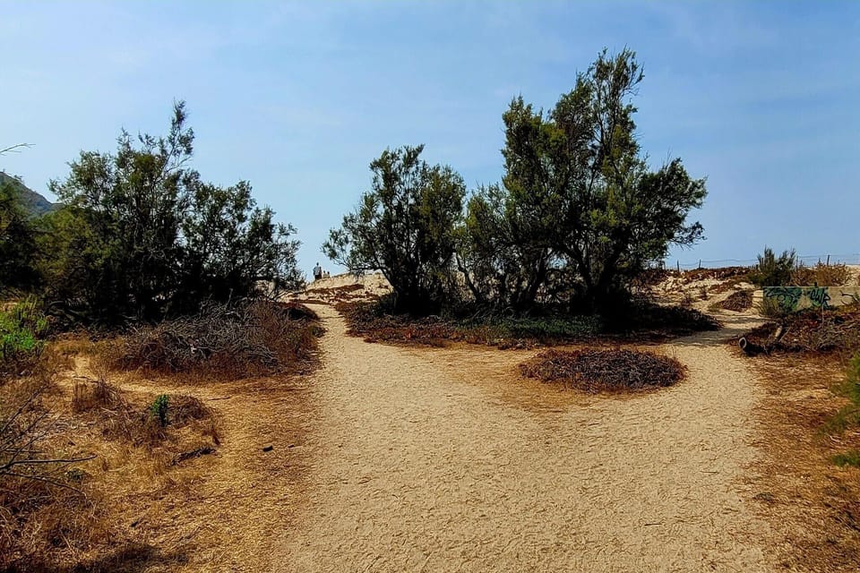 Region [summer] (>5 km)